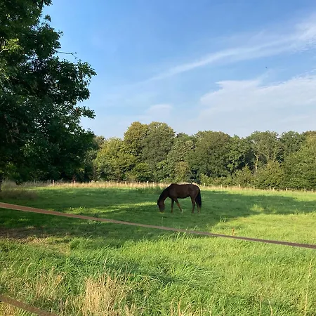 بيت للعطل La Ferme De La Foret, De Groupe A La Campagne