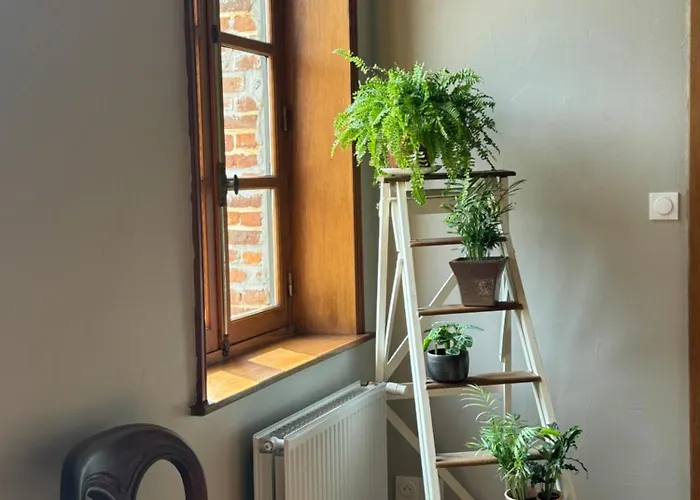 Prázdninový dům La Ferme De La Foret, De Groupe A La Campagne Longvilliers (Pas-de-Calais)