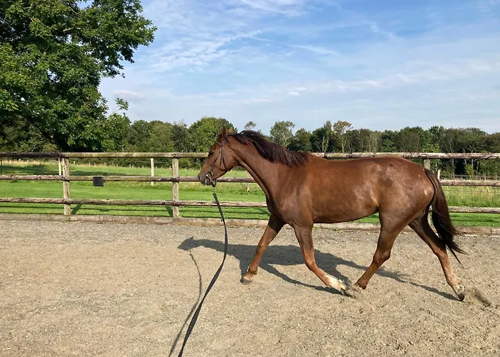 La Ferme De La Foret, De Groupe A La Campagne * Longvilliers (Pas-de-Calais)