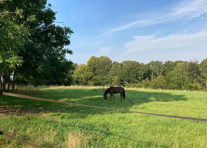 Prázdninový dům La Ferme De La Foret, De Groupe A La Campagne
